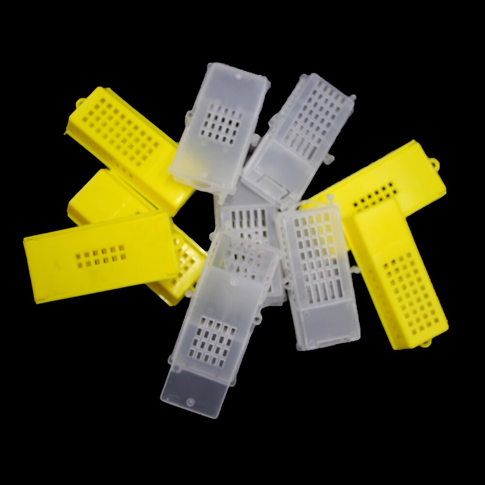 Jaulas de transporte de apicultura, sistema de cría de Reina, jaula de plástico para prisión, poste de casa, suministros de equipo de herramientas para abejas, 60 uds.