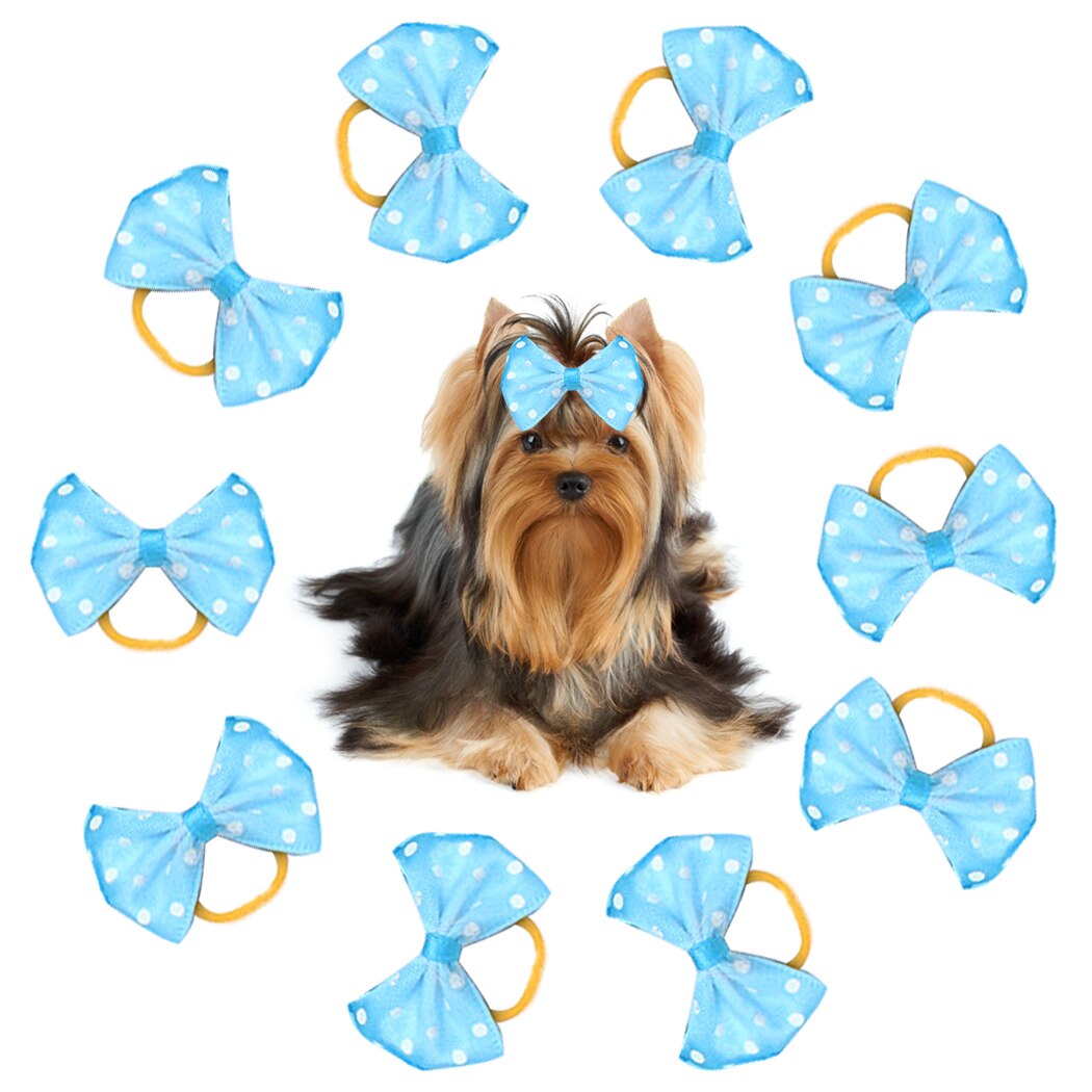 Nœuds de cheveux pour petits chiens, accessoires pour animaux de compagnie, fournitures de toilettage, nœuds de cheveux avec bande de caoutchouc élastique, 10 pièces