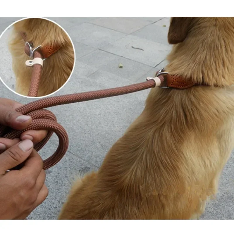 Correa para perro, cuerda antideslizante, correa de plomo, cuerda trenzada resistente, Collar de bucle ajustable, correas de entrenamiento para perros medianos y grandes, accesorios