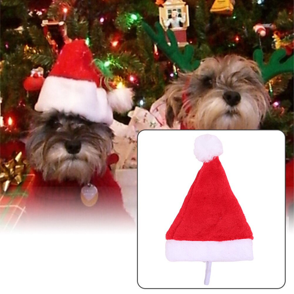 Kerstvakantie Kostuum Pluche Hond Santa Hoed Feestartikelen Decor Xmas