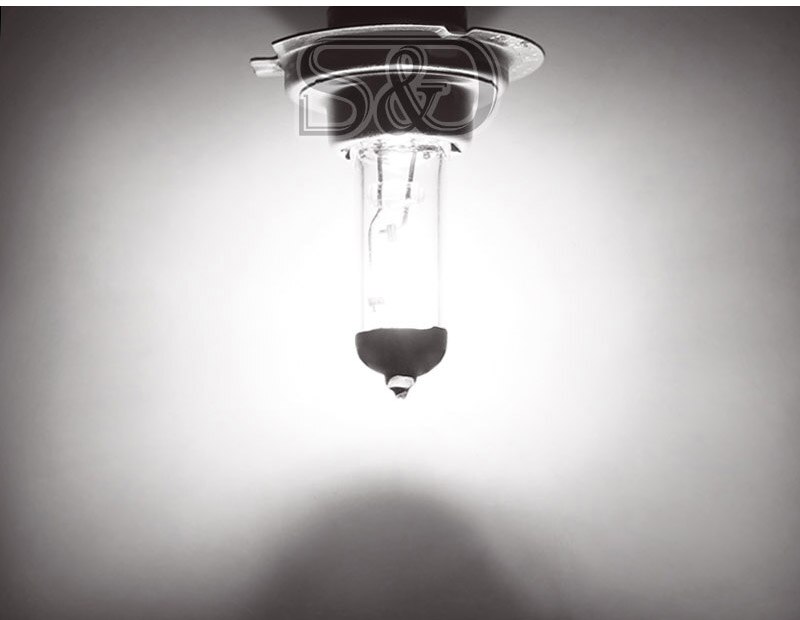 10 sztuk H7 100W 24V Super jasne żarówki halogenowe białe światła przeciwmgielne światła samochodowe lampa halogenowa robić samochodu żarówka lampa robić jazdy biały samochód stylizacji