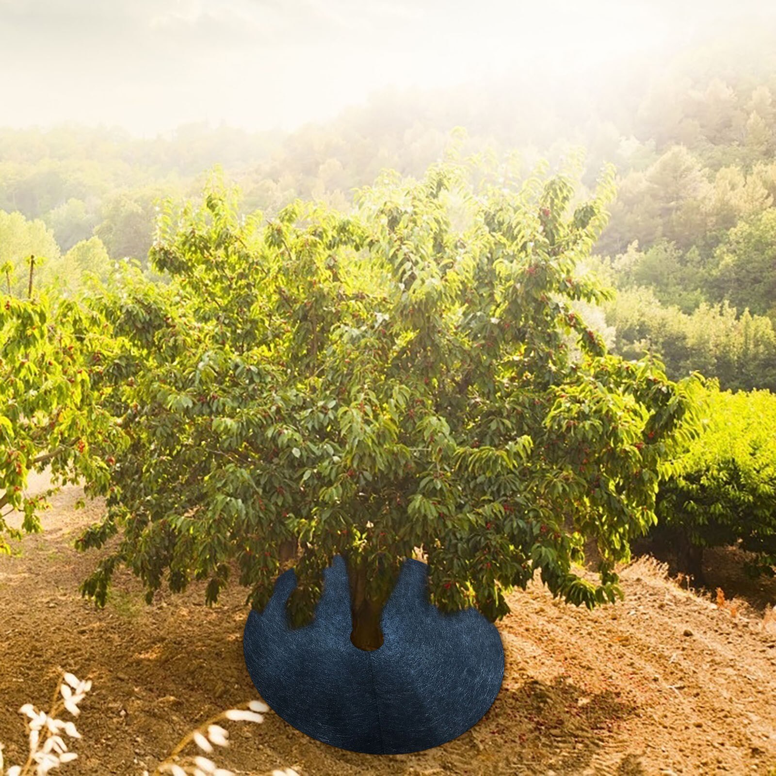 Plant Covers Non-woven Degradable Gardening Weeding Cloth Cover For Agriculture Gards Breathable Moisturizing Cloth For Plant