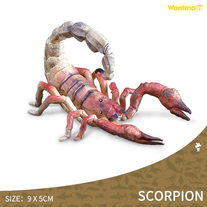 World-famous Dangerous Poisonous Wild Animal with Honey badger spider mosquito monitor lizard scorpion centipede snake Halloween: scorpion