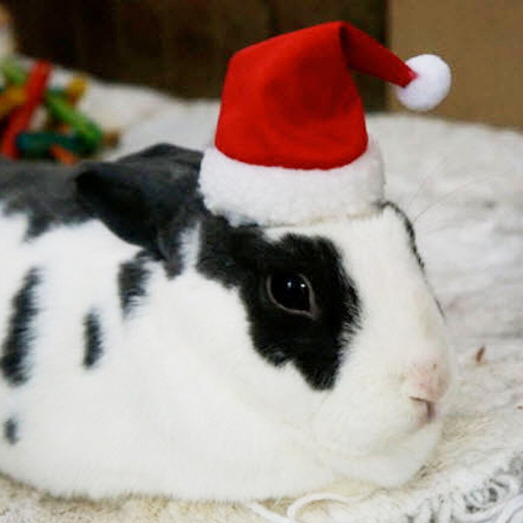 Small Animals Pet Santa Claus Hat Rabbit Hamster Guinea Pig Rats Festival Costume Christmas Cap with Band Pet Products