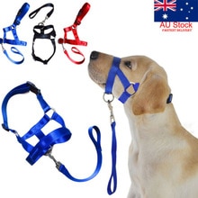 Au Dogalter Hond Halter Halti Training Hoofd Kraag Gentle Leader Harnas Nylon