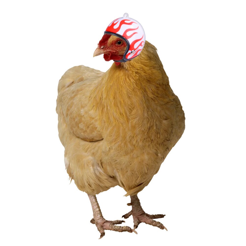 Chicken Helmet Protection Chicken Helmet Hen Hard Hat Bird Hat Headgear Small Pet Hard Hat Bird Duck Cap Protector