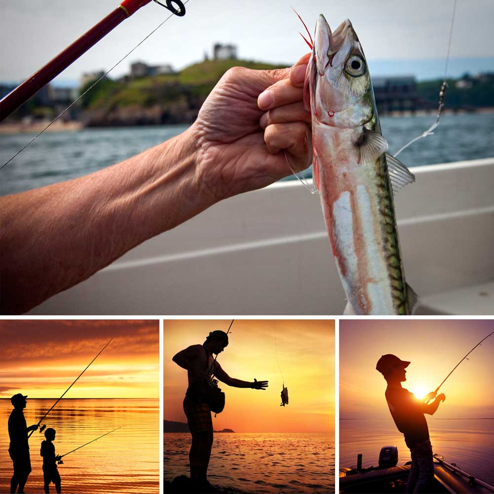 Multifunction Spin Fishing Rod Carbon Pole Telescopic Ultrashort Sea Fishing Tackle XD88