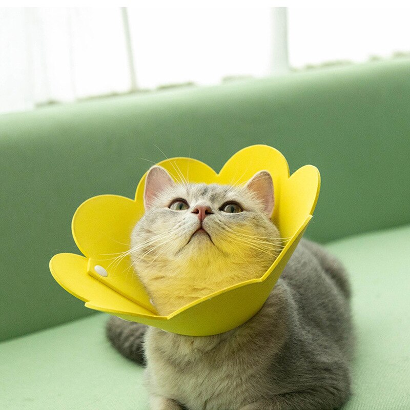 EVA Katze Nacken Schutz Kreis Kragen Sonne Blume Sonne Blume Anti Biss Anti Greifen Anti Lecken Katzen Nacken Elisabethanischen Kragen