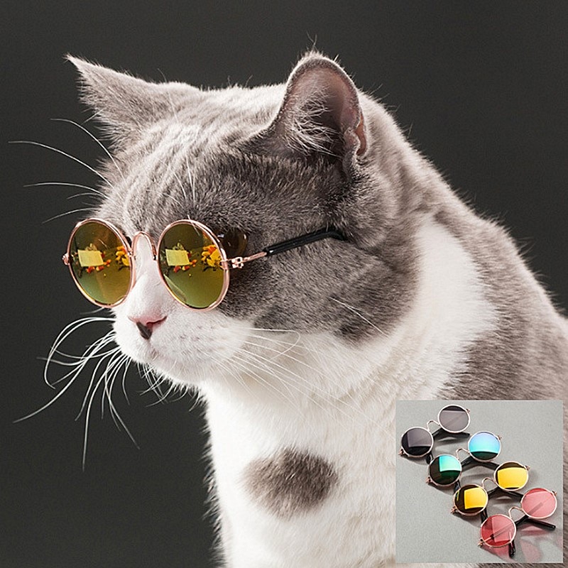 Pet Bril Honden Katten Producten Eye-Wear Hond Huisdier Zonnebril Kat Bril Foto Props Accessoires Huisdier levert