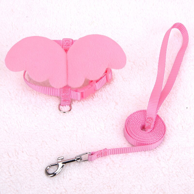 Kleine Hond Kat Riem Leuke Angel Wing Set Verstelbare Hond Met Nylon Riem Angel Wing Kraag Huisdier Lood Kat Hond met Leuke Accessoires