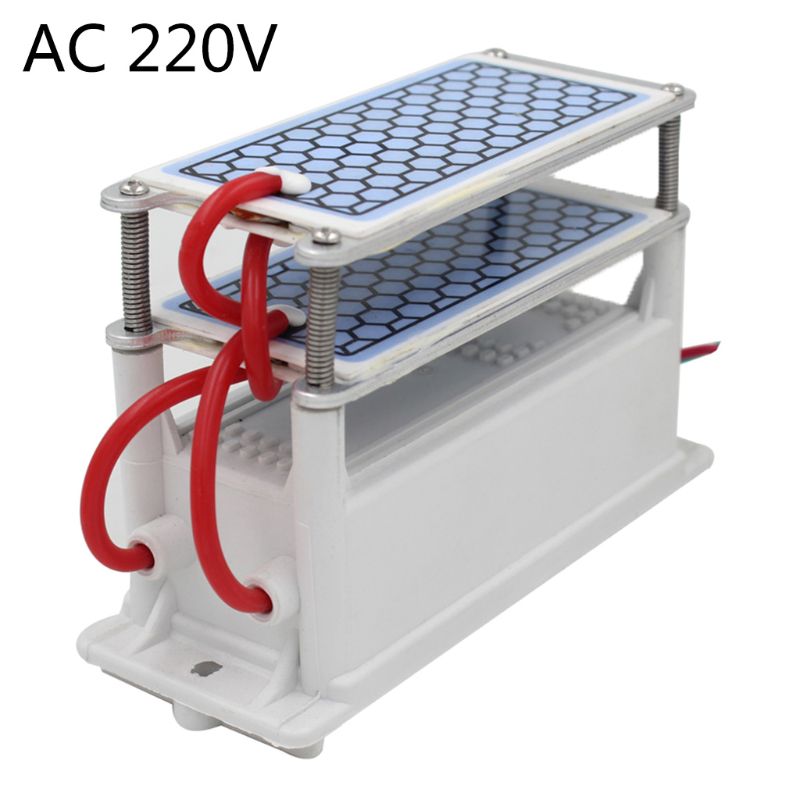 Generador de ozono portátil AC 110/220V DC 12V 20 g/h purificador de agua purificador de aire esterilizador: Gris claro