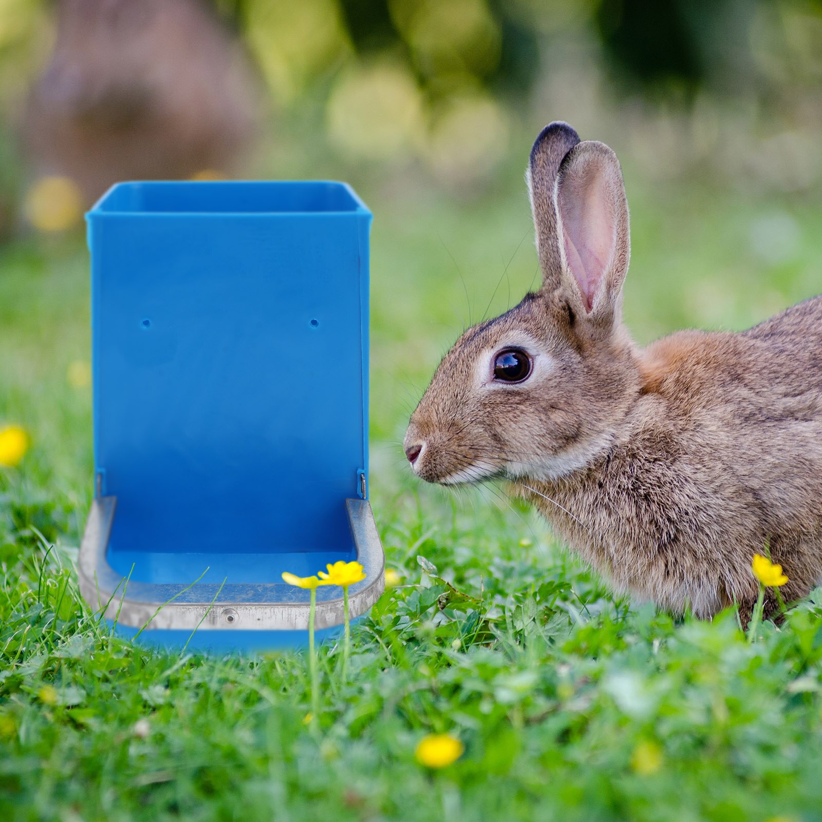3pcs Rabbit Food Bowl Large Capacity Feeder Poultry Feed Bucket Chicken Feeder Random Color