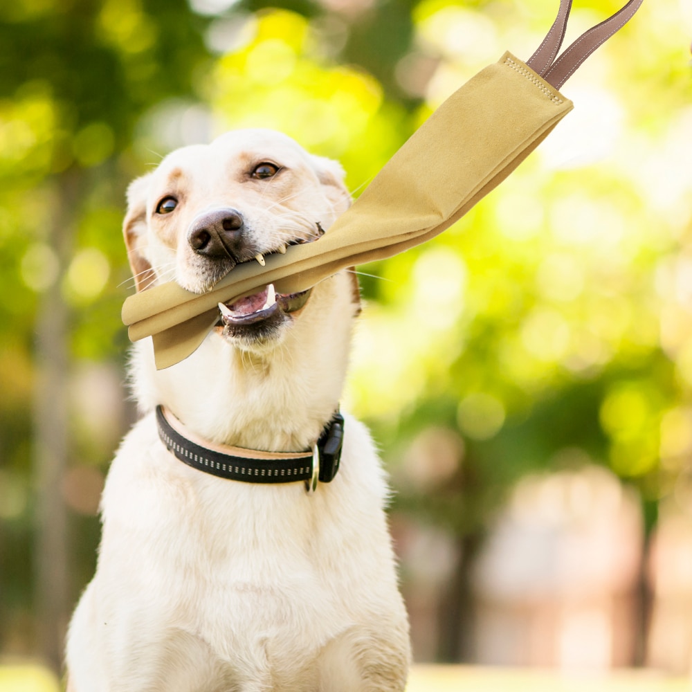 Durable Dog Bite Tug Toy Cute Dogs Chew Toys Beef Suede Pet Training Products Small Large Dogs Biting Playing Teeth Cleaning