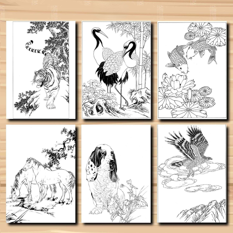 Meticulous Painting Line Drawing Manuscript Traditional Chinese Painting Flowers Birds Characters Animals Line Draft Rice Paper