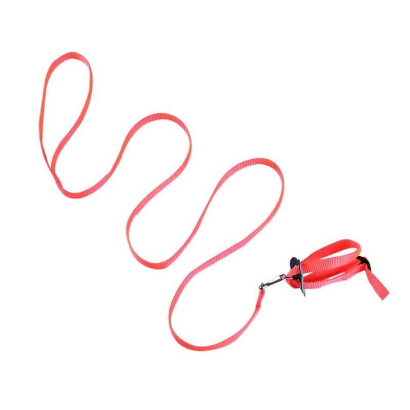 Harnais à col d'oiseau coloré, réglable, Hamster, tortue, lézard, corde de Traction, rênes, collier en forme de 8, laisse pour animaux de compagnie: Rouge