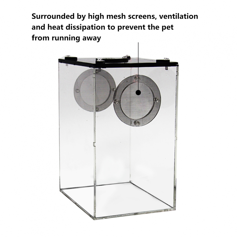 S/L Reptile Feeding Box Transparent Panorama Insect Breeding Box Snake Spider Lizard Breathable Reptile Breeding Container