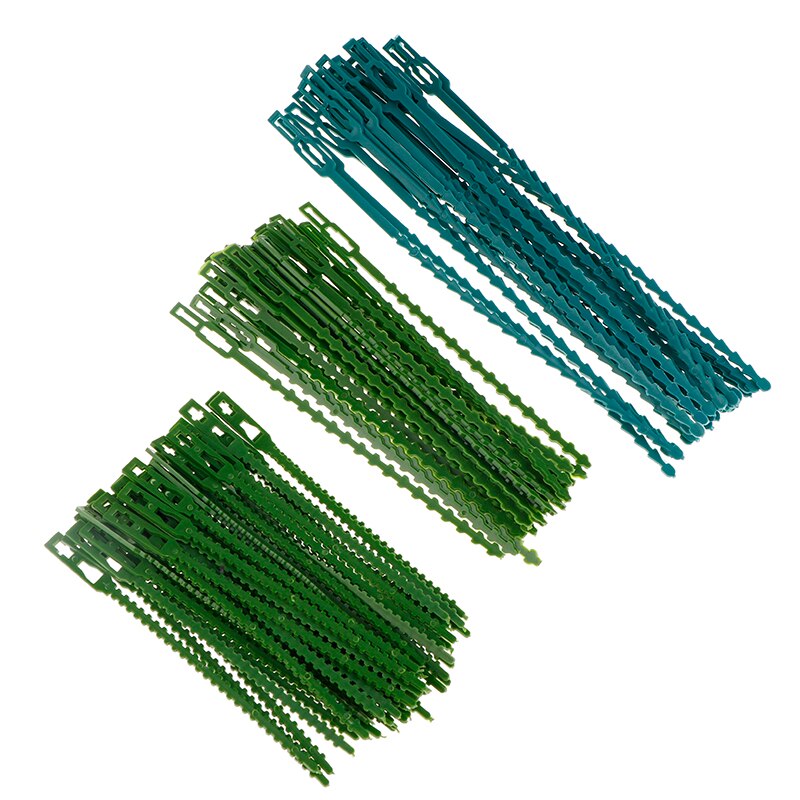 50/30 x Reusable Garden Plastic Plant Belt Ties Tie Garden Fishbone Band Tool