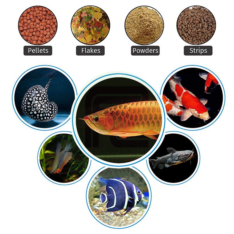 Kontrol automatisk fiskefoder med app akvarium automatisk fiskefoder, wifi kontrol automatisk fiskemad dispenser til hjemmekontor