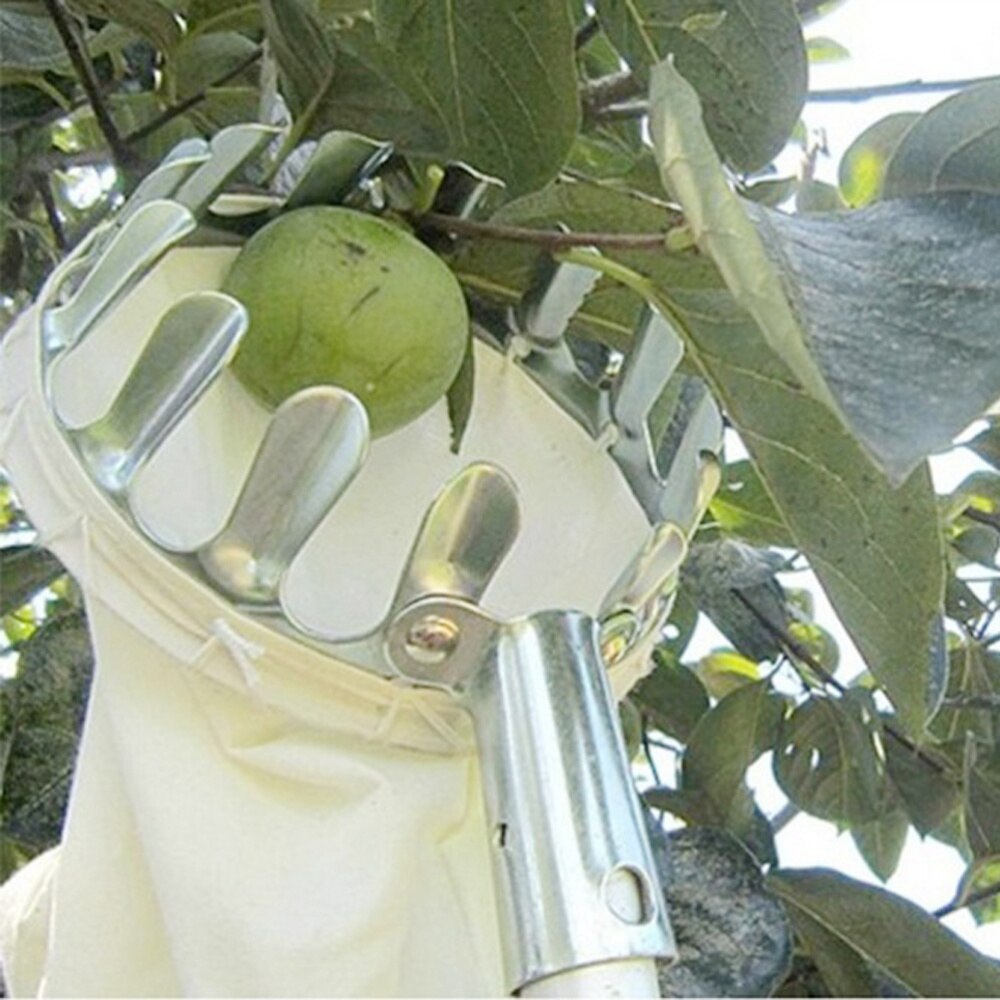 Frugtplukker hovedkurv frugtplukkeværktøjer frugtfanger til høstplukning æble citrus pære fersken og andre
