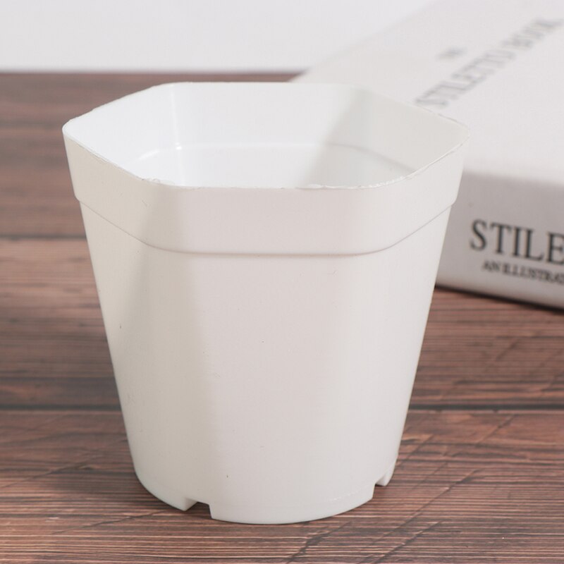 10pc mini urtepotter farverige plastik plante urtepotte plantekasser til sukkulenter indretning planter desktop urtepotter: Hvid