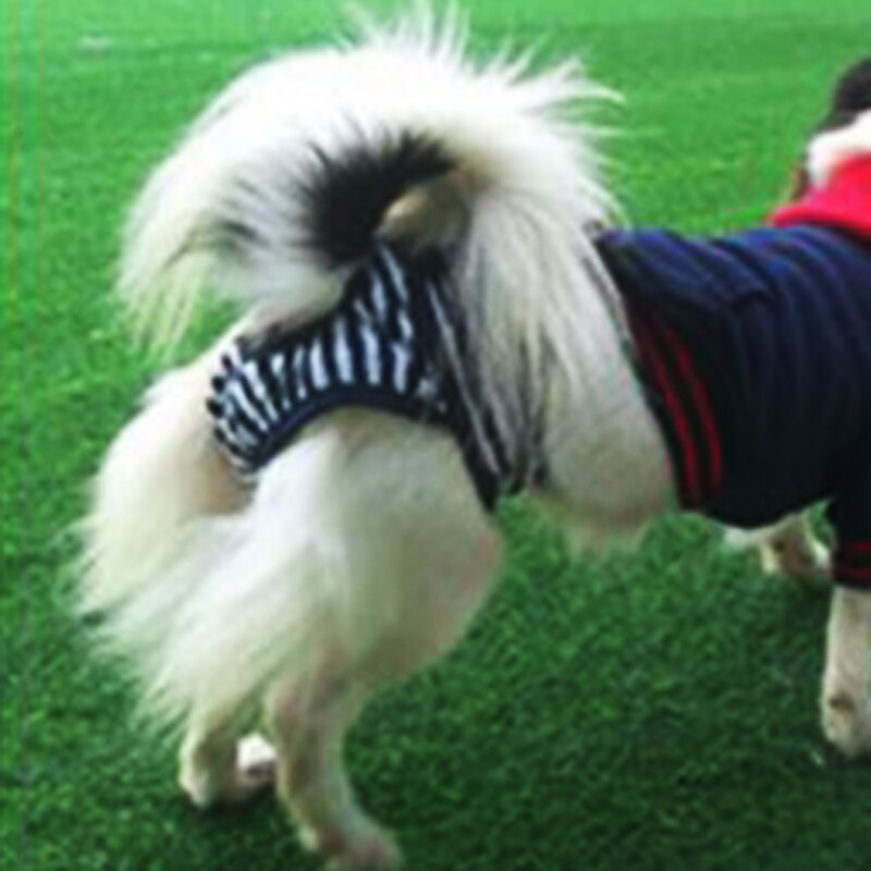 Pet Dog Pants Health Physiology Pets Menstrual Physiological And Sanitary Pants Safety For Chihuahua French Bulldog Pants