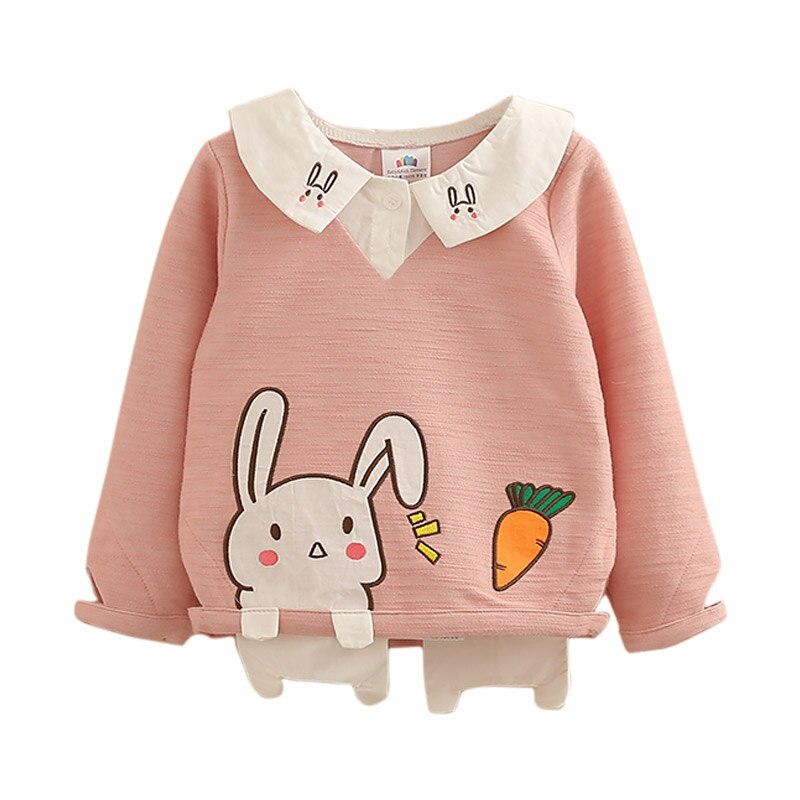 primavera otoño 2-10 años de edad niños de manga larga lindo Patchwork bordado de dibujos animados bebé niños sudaderas para colegio para niñas: 4T