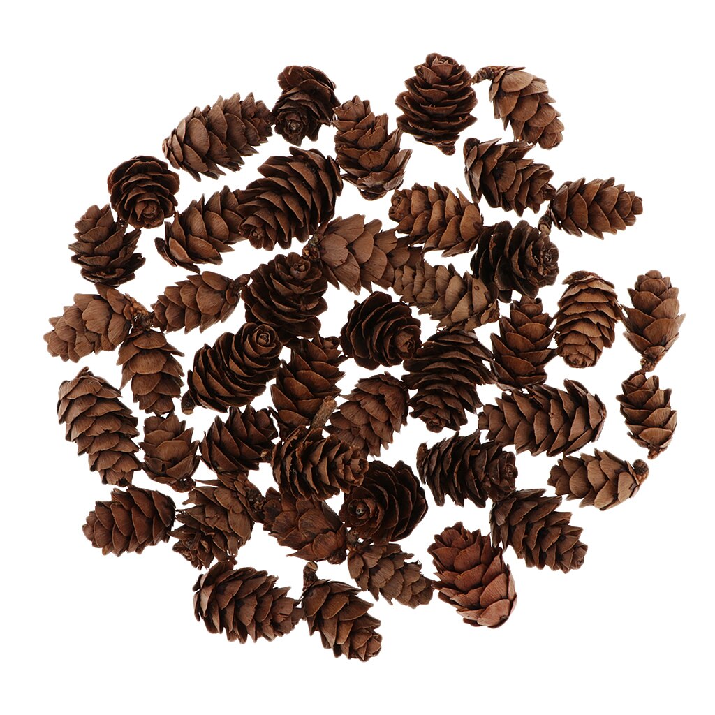 60 Pieces Natural Pine Cones for Christmas Fall Thanksgiving Harvest Autumn Party Craft Accessory Decorations