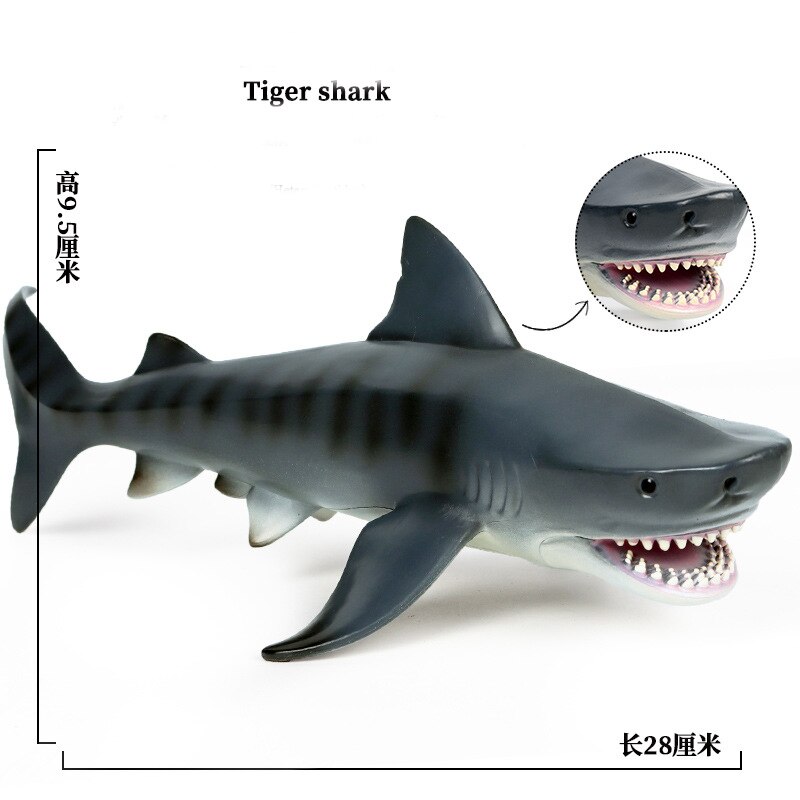 Simulatie Mariene Leven Onderwaterwereld Haai Model Megalodon Grote Witte Haai Tiger Shark Hammerhead Shark Speelgoed: Tiger Shark