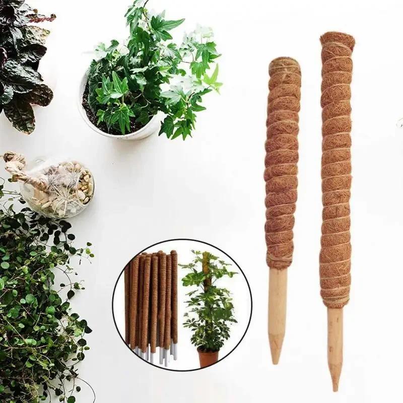 30cm/50cm planta trepadora asta tótem de coco de jardinería segura para plantas trepadoras enredaderas y enredaderas soporte de plantas