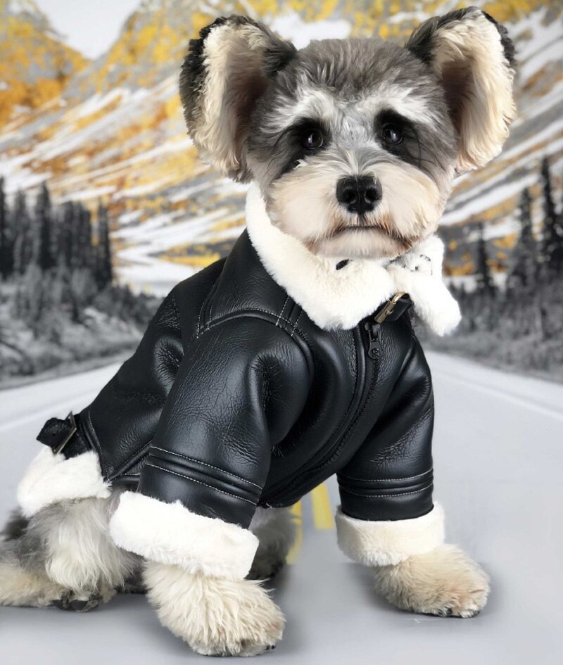 Warme Winter Hond Jas Voor Kleine Hond Down Jassen Leren Jas Jas, bontkraag Puppy Fleece Poedel Schnauzer Bulldog Outfit