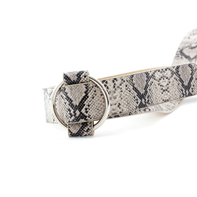 Brede leren riem met luipaardprint en slangenprint voor dames, ronde gespriemen voor damesjurken