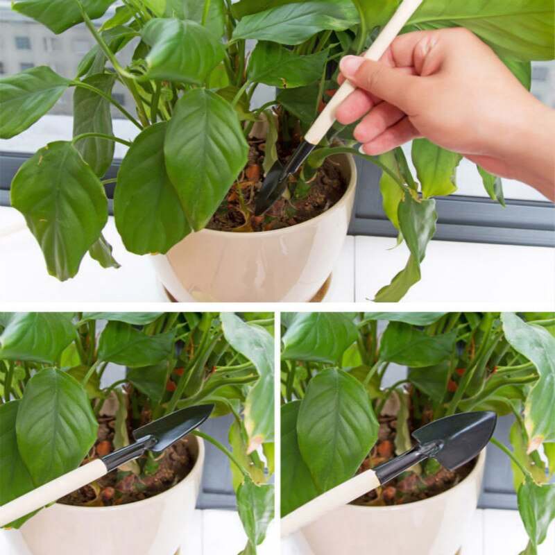 3 stk hageredskaper trehåndtak i rustfritt stål potteplanter spade rake spade til blomster plante семена цветов