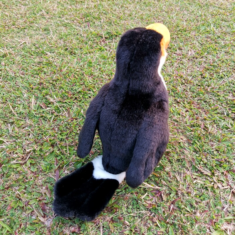 30cm grand Kyorochan Simulation Toucan oiseau Animal en peluche jouet poupée enfants d'anniversaire décoration de la maison