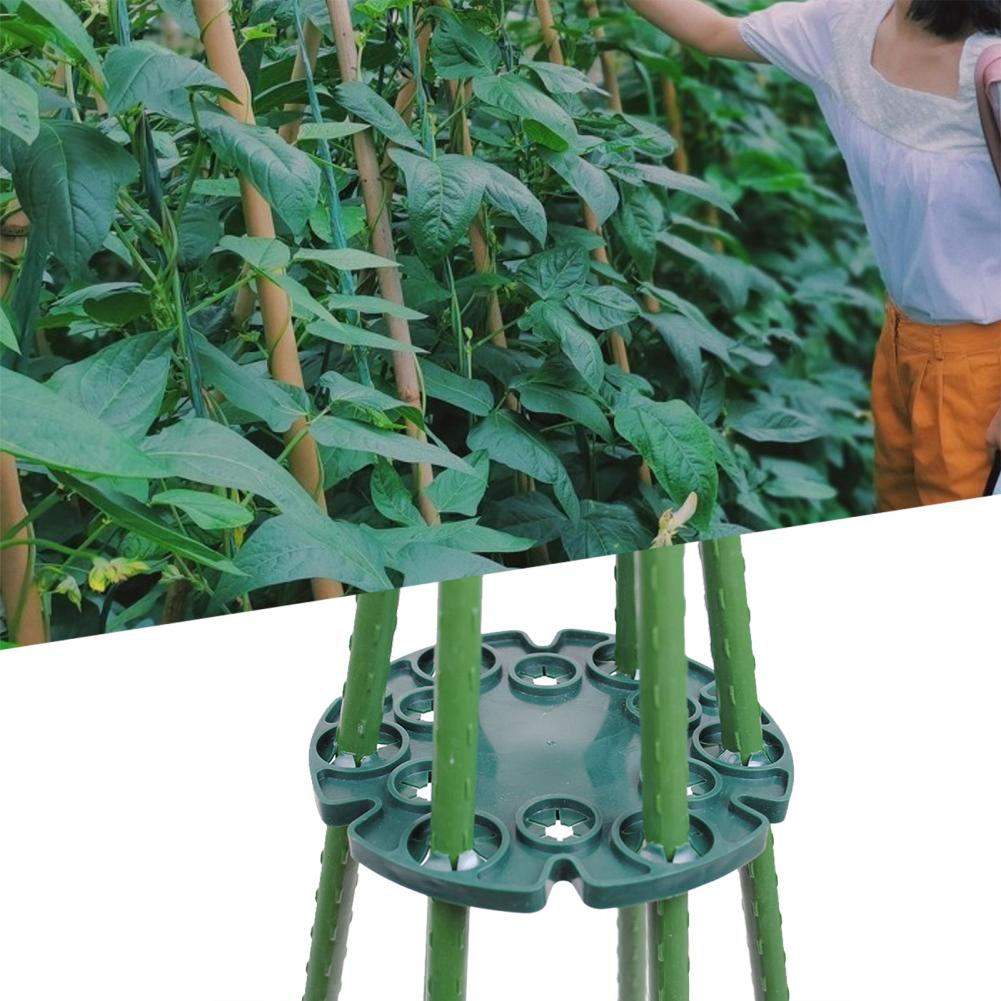 5Pcs Vine Protection Stand Tray Outdoor Garden Pla... – Grandado