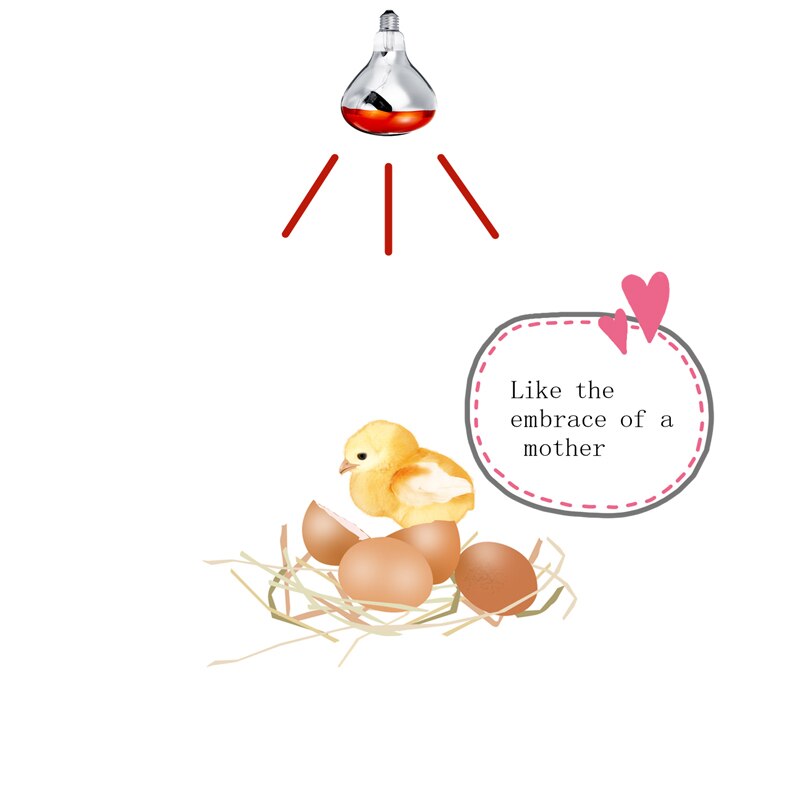 E27 100W/250W 220V Farm Red Heat Lamp Pet Poultry Brooder Hatch Chicken Piggy Dog Cat Thermal Lamp Smart Infrared LED Light