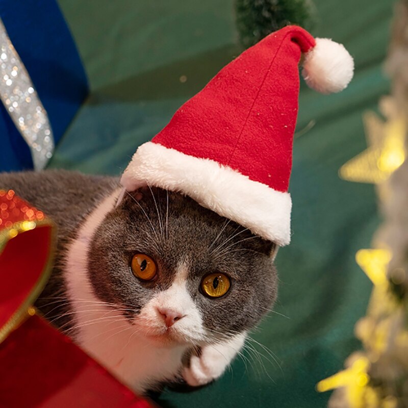 Hund Weihnachten Hütte Weihnachten Hunde Zubehör Hund Hüte Winter Hütte für eine Katze Französisch Bulldogge Hütte für eine Katze Hütte für Hunde Haustier Produkt