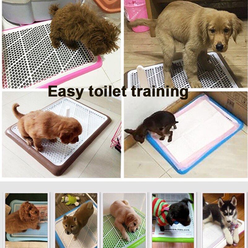 Pet Supplies Toliet Training Plastic With Pillar Toilet Mat Training Potty Dog Pad Tray Toilet Training Urinary Trainer Pee Pad