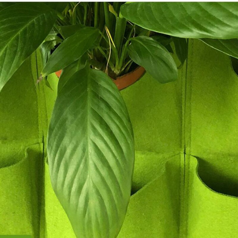 Vegg hengende plante poser lommer grønn vokse bag planter vertikal hage grønnsak levende bonsai bag blomst hjem forsyning