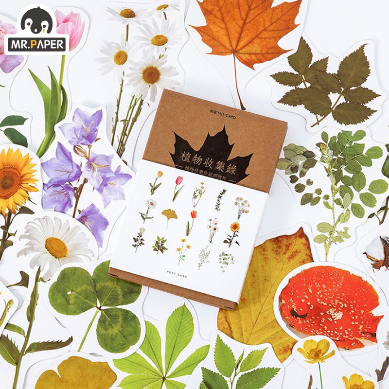 YueGuangXia Herbal Botany Series of Postcards Group Travel Invitation Greeting Ivory Card Wish Cards Office Stationery: Default Title