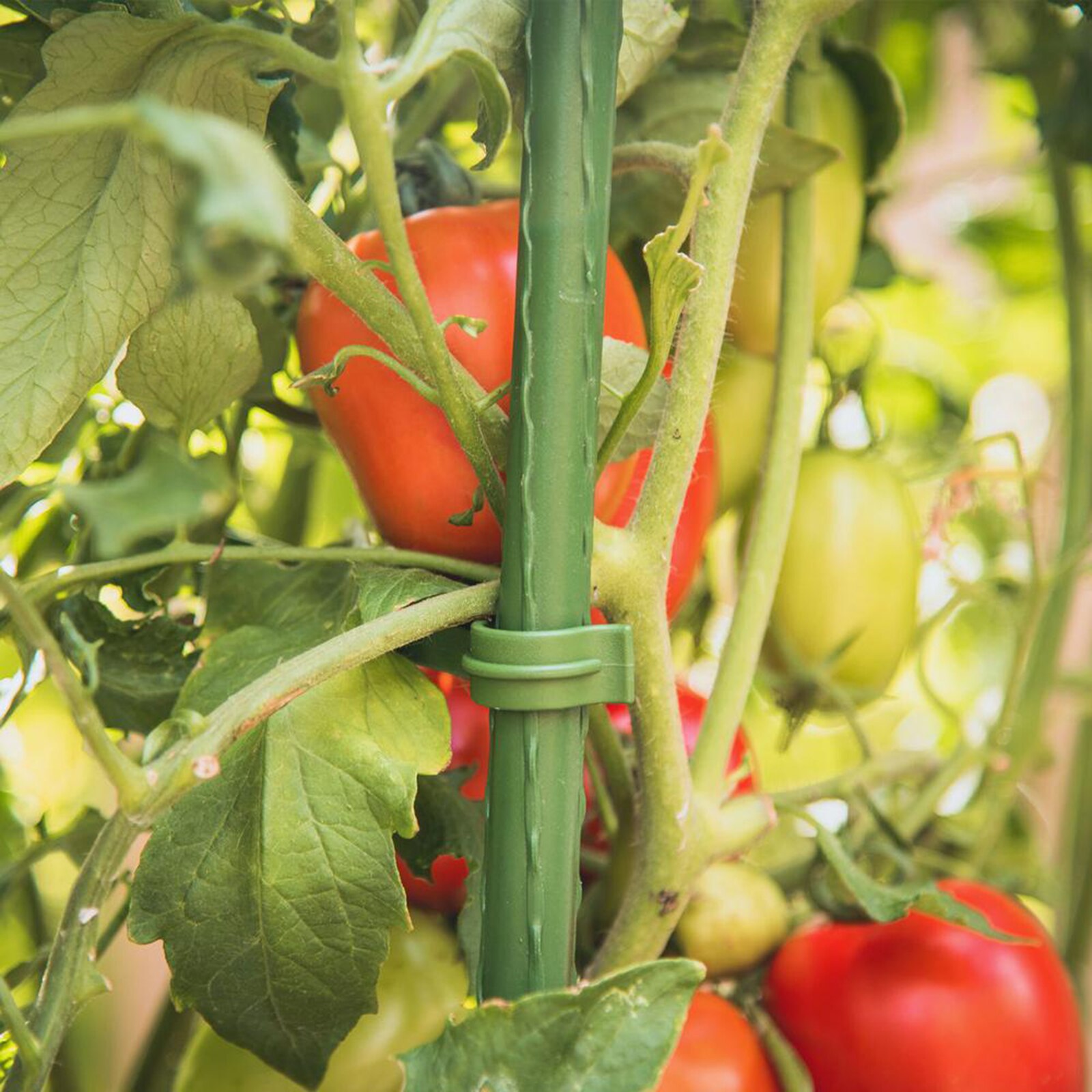 Connecteurs en treillis extensibles réutilisables pour jardin, 12 pièces, outils, Cages à tomates, bras, bielle réglable en plastique pour légumes