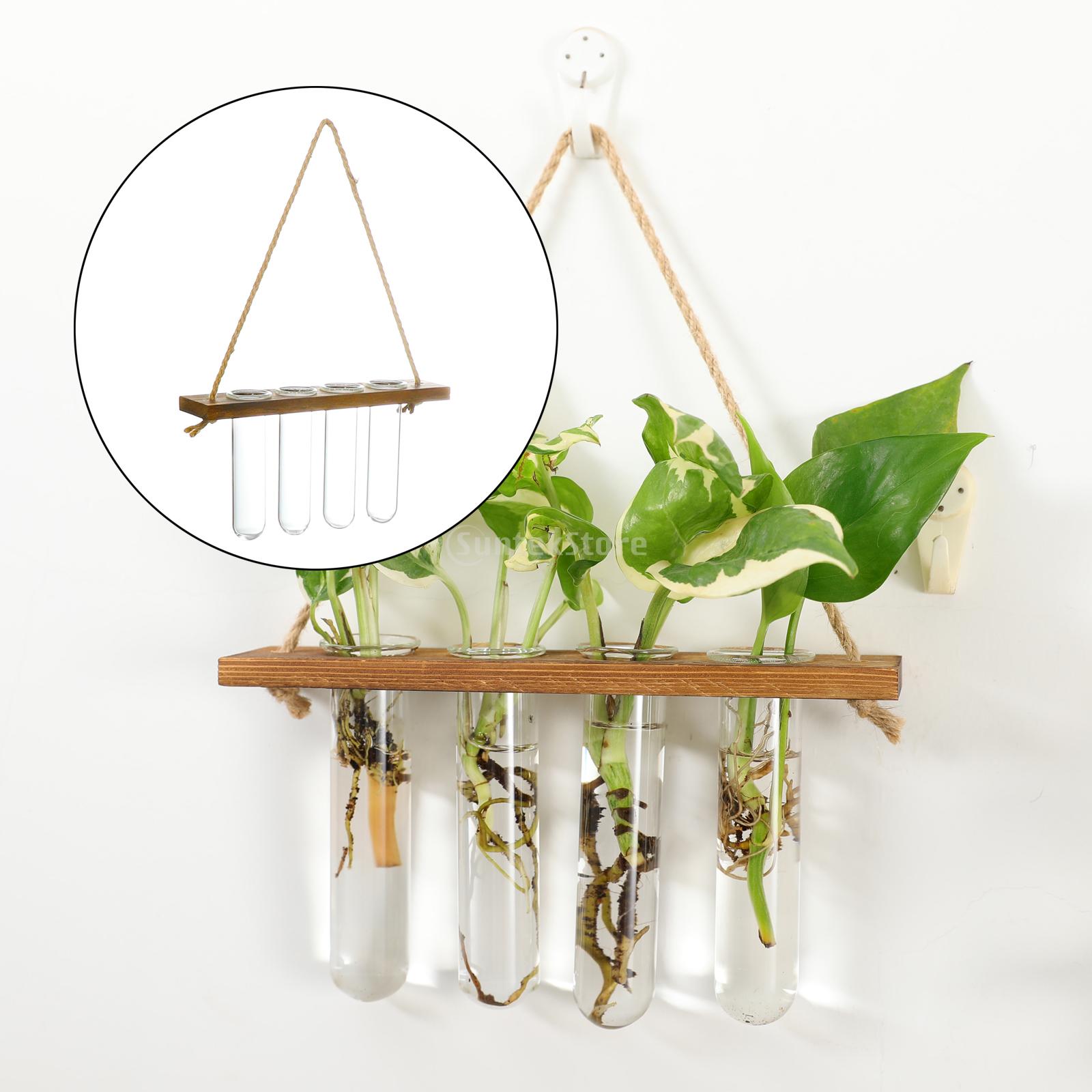 Prüfung Rohre Glas Pflanzer Zauberstab Hängen Terrarium Container Blume Knospe Vase mit Holz Halfter für Ausbreitung Wasserkulturanlage
