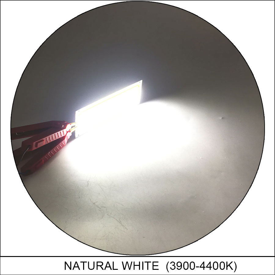Placa de luz LED COB para interior y exterior, lámpara de 12V, 2W-300W, Chip de diodo emisor, bombillas para el hogar y el coche, DIY,: Negro / Blanco
