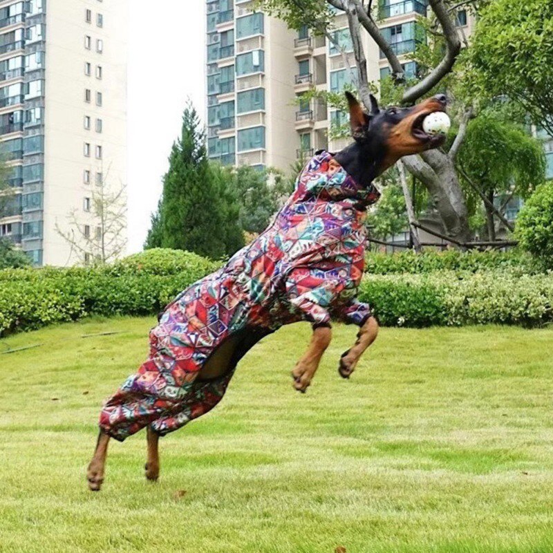 Grappige Hond Bal Speelgoed Bijten Slip Molaire Kauwen Speelgoed Voor Puppy Honden Franse Bulldog Pug Speelgoed Puppy Pet Training Producten