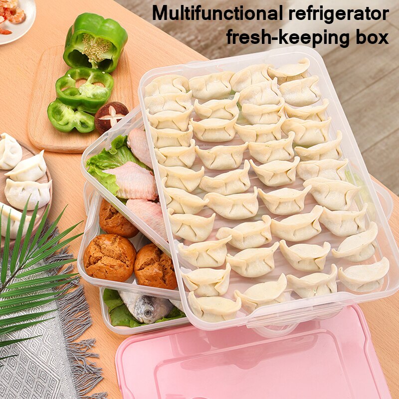 Dumpling Storage Box Food Organizer Fresh Box Meatballs Vegetables Egg Holder Kitchen Accessories
