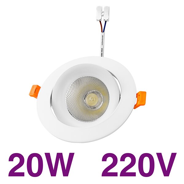 Led Downlight Light COB Ceiling Spot Light 20W 12W 7W Epistar LED Round Recessed Lamp 220V For Indoor Lighting White Warm White: 20W / Warm White