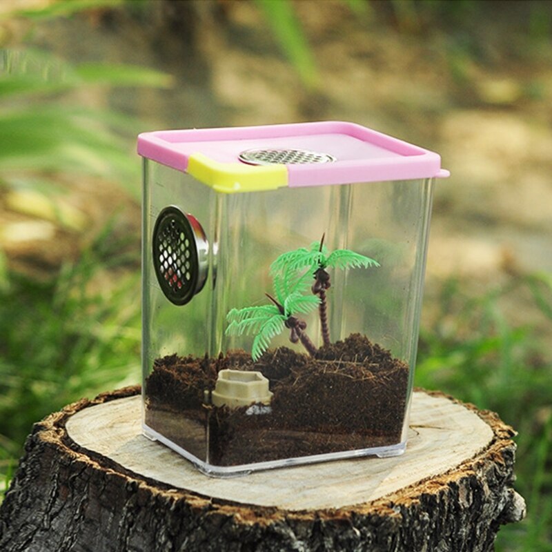 Portable Transparent Breeding Spider Feeding Box with Breathable Lid Insect Observation Cage Terrarium Butterfly Habitat