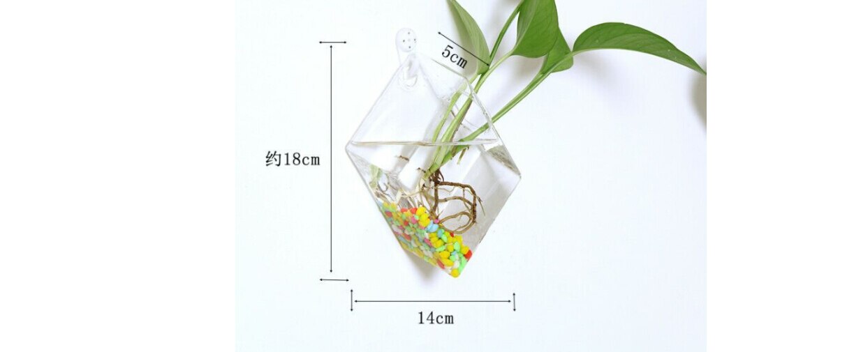 Maceta colgante de pared de cristal triangular transparente para plantas, jardinera de terrarios, soporte para flores, jarrón, decoración de interior para el hogar: square