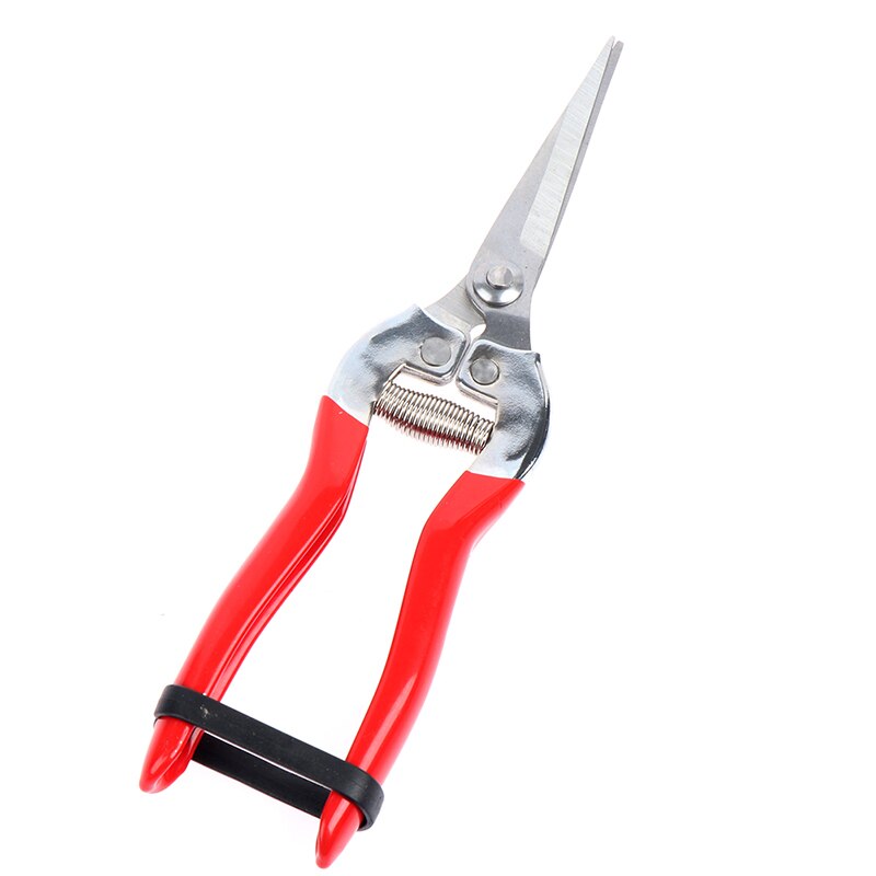 High Carbon Steel blade pruning cut Shrub tool Plant horticulture leaf trimmer Shear Scissor pruner Garden fruit flower Orchard