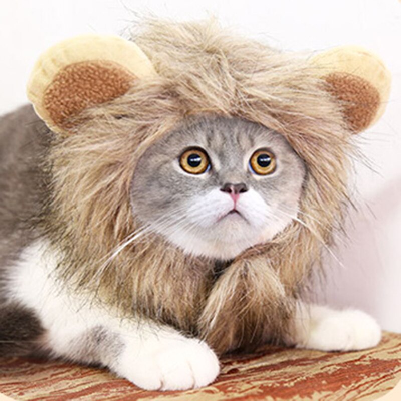 Czapka dla kota śliczna głowa lwa kształt jesienno-zimowa ciepła rzep nakrycia głowy śmieszne zwierzątko rekwizyty fotograficzne ozdoby dla psów kapelusz