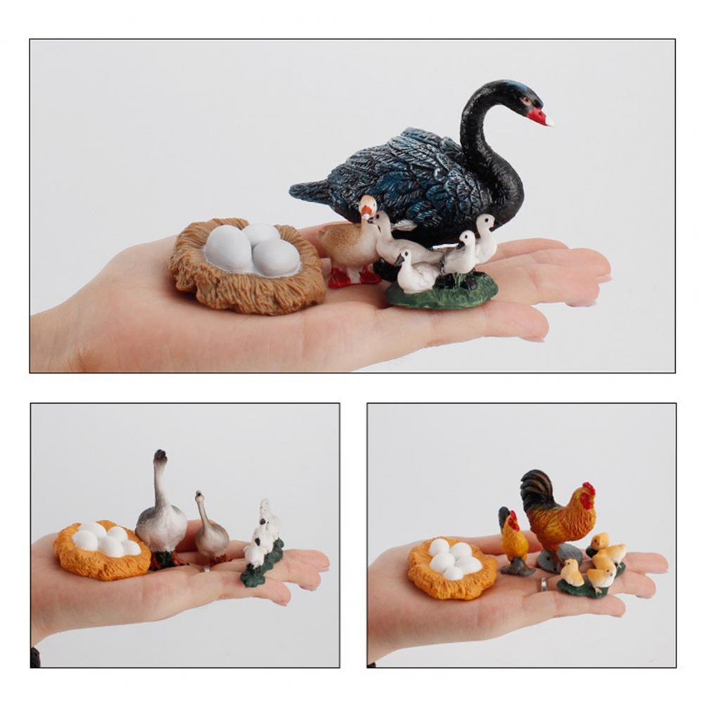 Kip Eend Gans Zwaan Groei Cyclus Simulatie Gevogelte Speelgoed Thuis Bureau Ornament Home Desk Ornament Simulatie Gevogelte Speelgoed